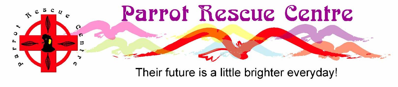 https://www.parrotrescuecentre.com